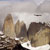 Andean Condor in Torres del Paine NP