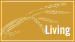 Section Branding